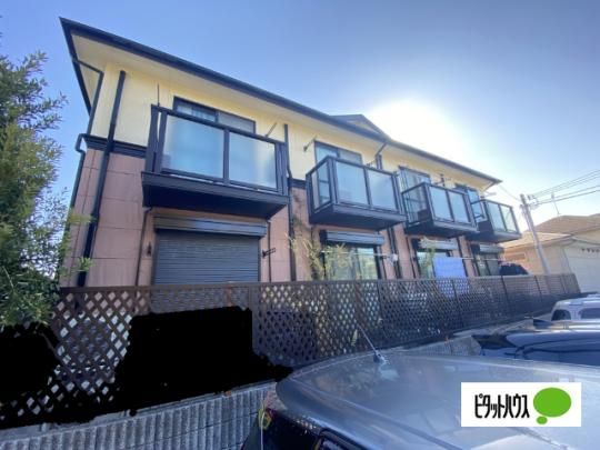 ���f�B�n�C�c�a�̐� �O�ώʐ^