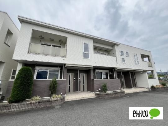 ���@���N�[���M�u��U �O�ώʐ^