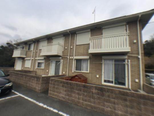 �h�G���ETOMO �O�ώʐ^