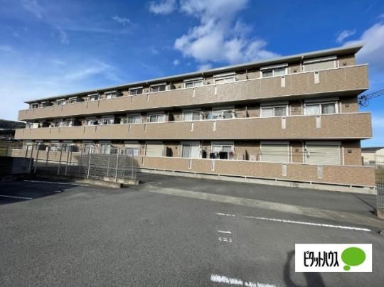 �O���C�X �q���Y �O�ώʐ^