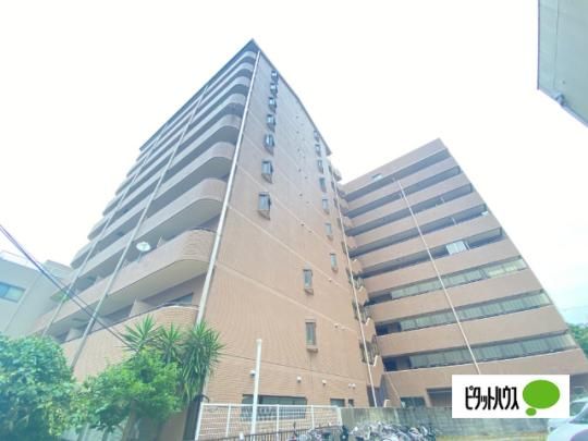 �����v���U�\�Ԓ� �O�ώʐ^