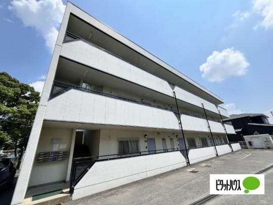 �T���n�C�cK �O�ώʐ^