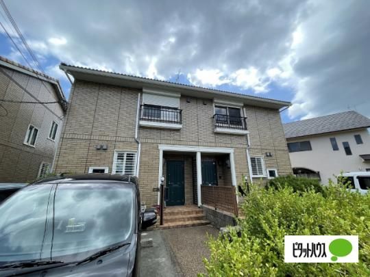 ���b�V�F�E�R�[�g�@�c�� �O�ώʐ^