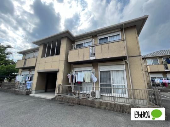 �A���E�Z���W�F�U �O�ώʐ^