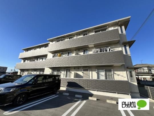 Meliflua���l(�����t���A�j�V�n�}) �O�ώʐ^