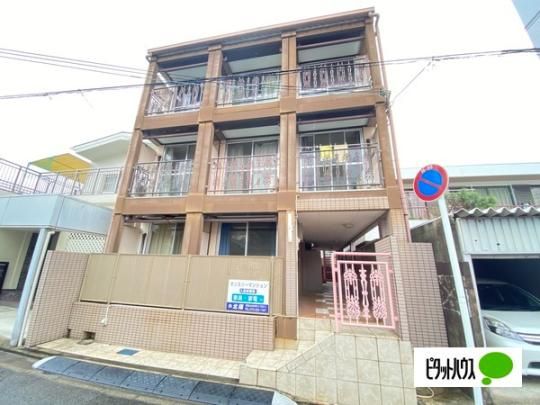 �}�C�X�e�[�W���낿 �O�ώʐ^