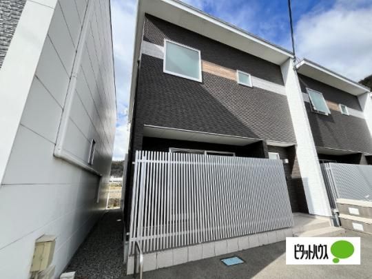 �A���\���[������ �O�ώʐ^