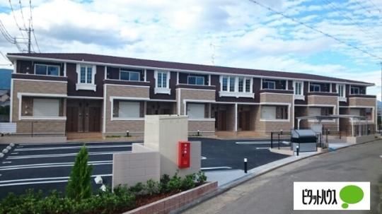 �A�N�G���A�X �O�ώʐ^