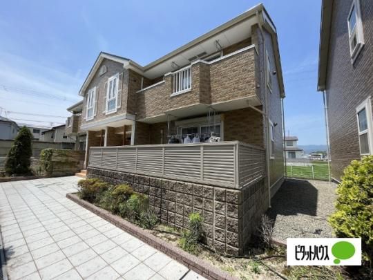 �Z���[�m�T �O�ώʐ^