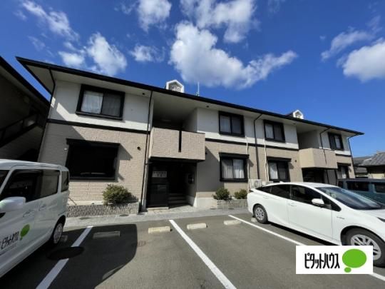 �R�[�g�_�W���[��T�U�@A�� �O�ώʐ^