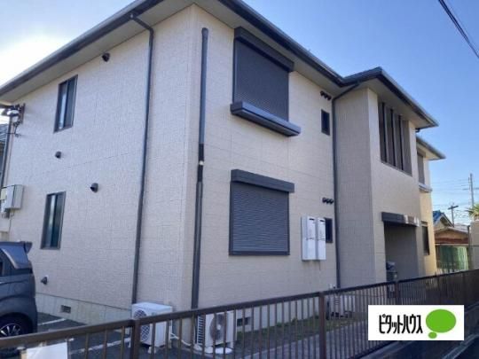 �G�N�Z�����X�Z�\�J�U �O�ώʐ^