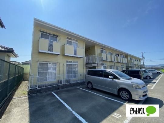 �n�C�c���� �O�ώʐ^