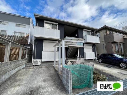 �V���[���]�����] �O�ώʐ^