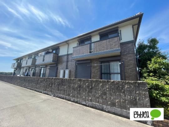 �R�[�g�_�W���[���� �O�ώʐ^