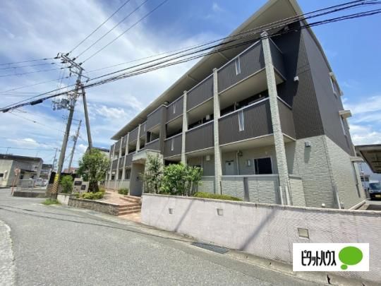 �T�E�X���]���G�[�f�����C�X �O�ώʐ^