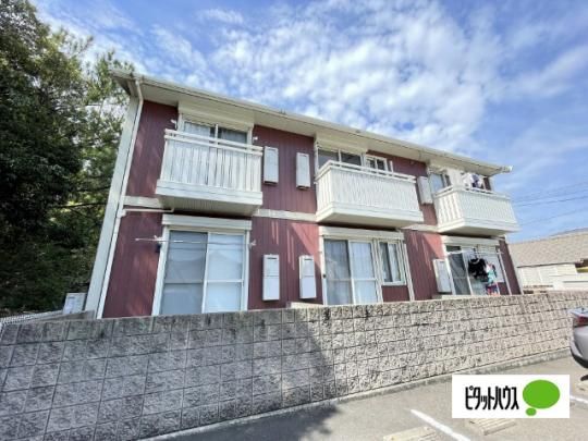 �V�����E���~�G�[�� �O�ώʐ^