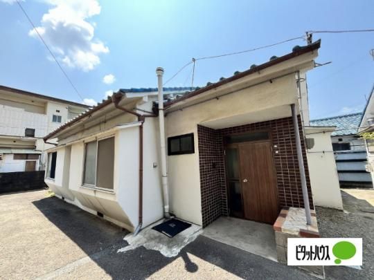 ���i�n�C�c���� �O�ώʐ^