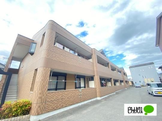 �v�����h�[��M&N �O�ώʐ^