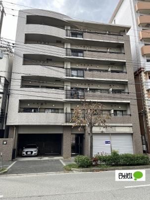 �V�����}���G�[�X �O�ώʐ^