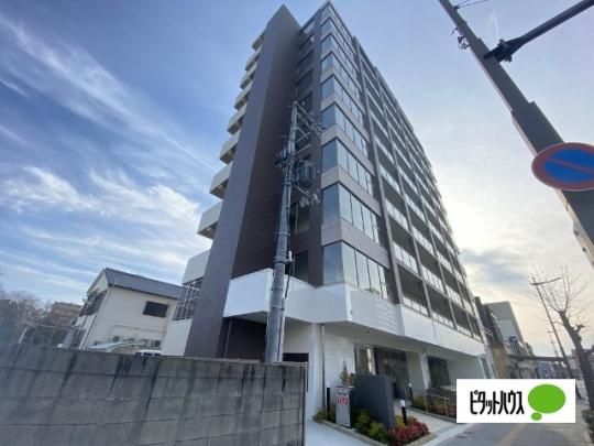 ���W�f���X�q���Y�@�U�@���J���} �O�ώʐ^