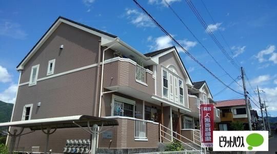 �G�N�Z�����炳����q���Y �O�ώʐ^