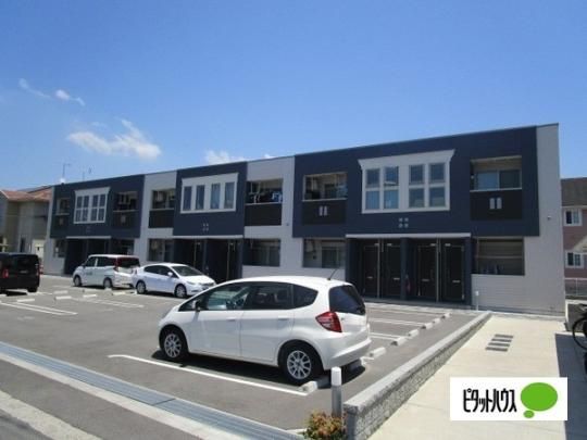 �R�[�������B�������b �O�ώʐ^