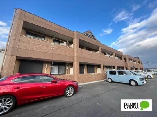 �V�����}���R�[�g �O�ώʐ^