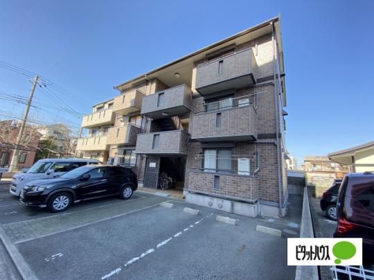 J-���C�l�b�g(�W�F�C���C�l�b�g) �O�ώʐ^