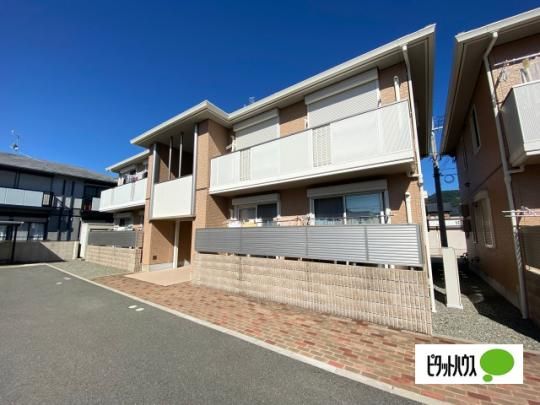 �V���[���]���L�c �O�ώʐ^