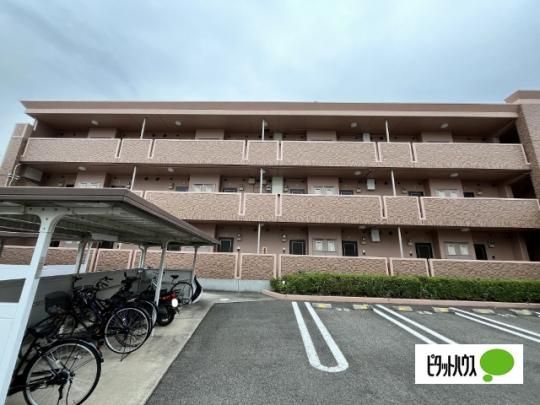 �G�X�v���[�N�E�R�� �O�ώʐ^