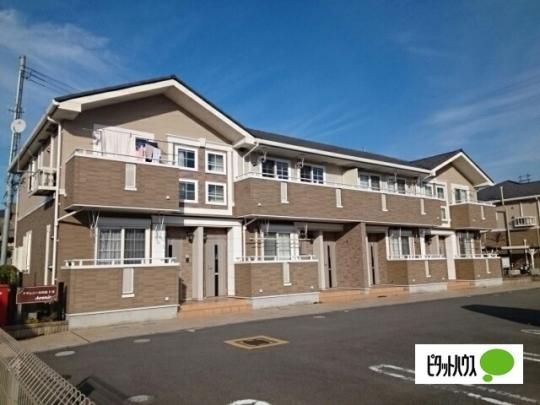 �A���F�j�[����o�T �O�ώʐ^