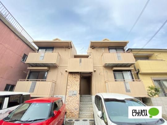 �R�[�vami �O�ώʐ^