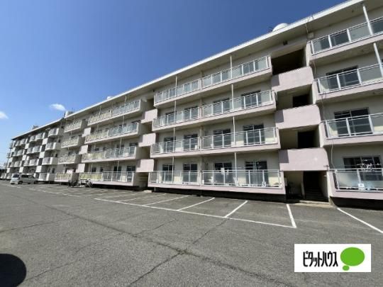 MS�k���@A�� �O�ώʐ^