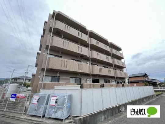 �䏊�m���}���V���� �O�ώʐ^