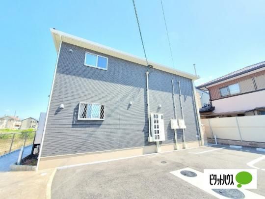 �T���n�C���@�T�R �O�ώʐ^