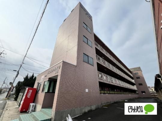 ���j�I���n�C�c���] �O�ώʐ^