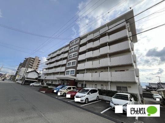 �n�C�c�J�h�[�� �O�ώʐ^