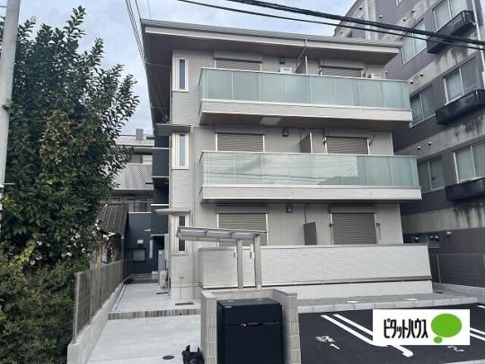 �p���E�O�����V�G���U �O�ώʐ^