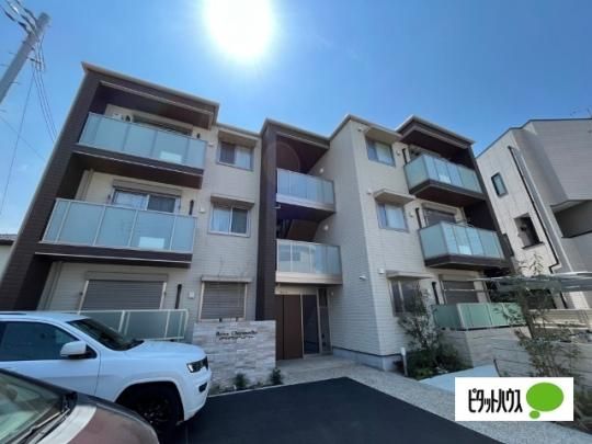 �x���I�����m�� �O�ώʐ^