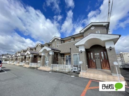 �J�����K�[�f����o �O�ώʐ^