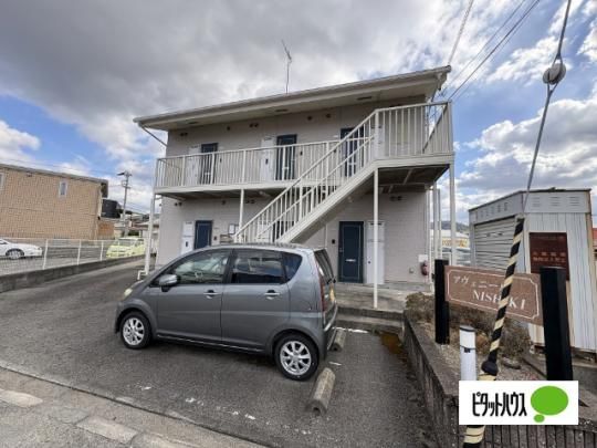 �A���F�j�[���m�h�r�g�h�j�h �O�ώʐ^