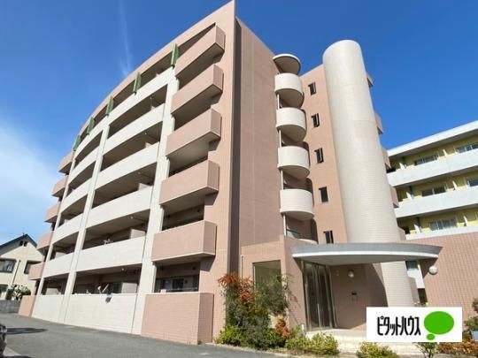 �m�C�t���C�f �O�ώʐ^