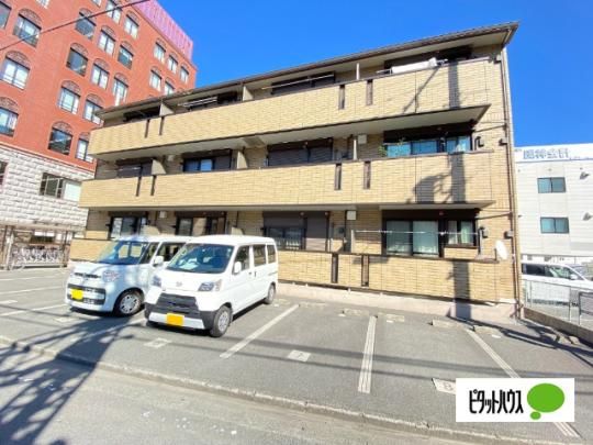 sereno ���c�i�Z���[�m �N���_�j �O�ώʐ^