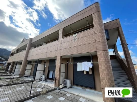 �O�����f�B�[���E�v���� �O�ώʐ^