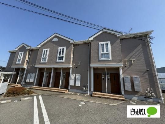 �T�����b�g�@�G�A���[ �O�ώʐ^