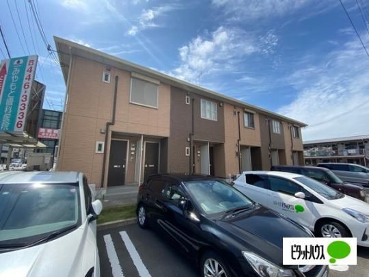 �T�����]���I�O�䎛 �O�ώʐ^