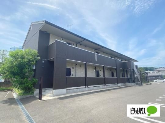 �p�C���Y�R�[�g�X �O�ώʐ^