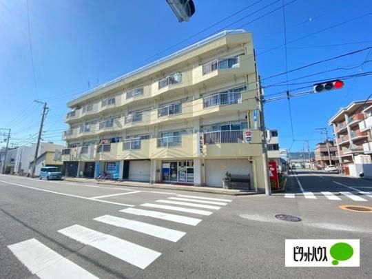 �T���n�C�c���V�� �O�ώʐ^