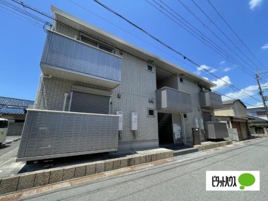 �u���E�j�[�e���X �O�ώʐ^