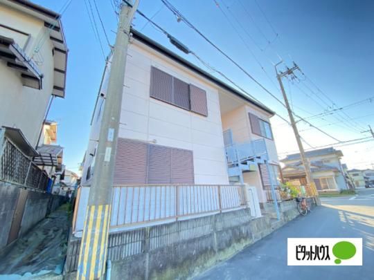 �s���A�J���g���[�؃m�{ �O�ώʐ^